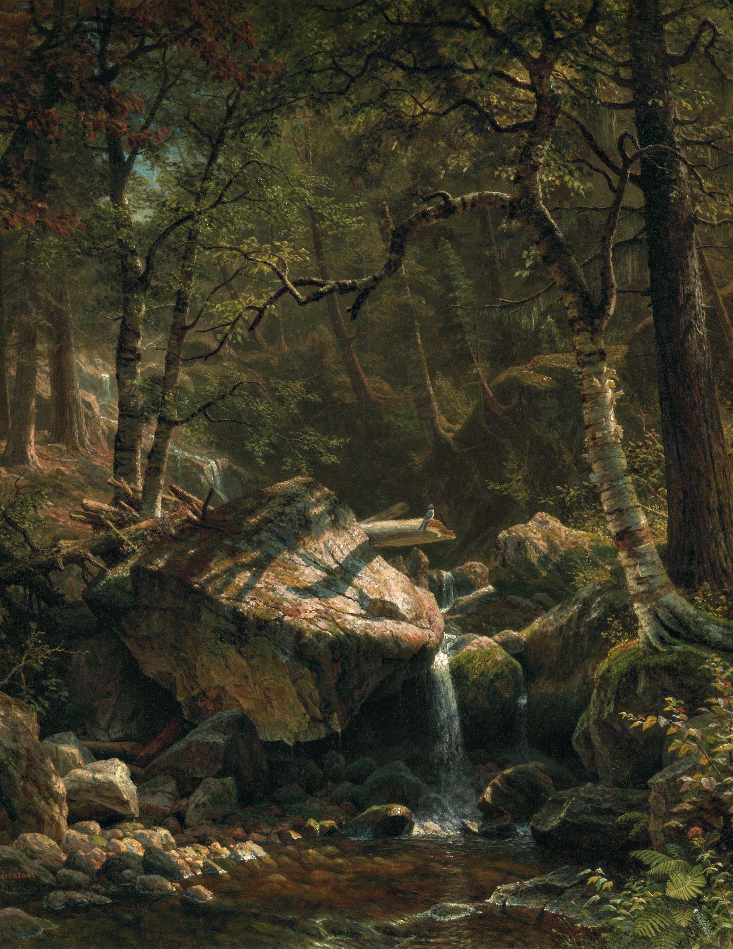 Mountain_Brook.jpg