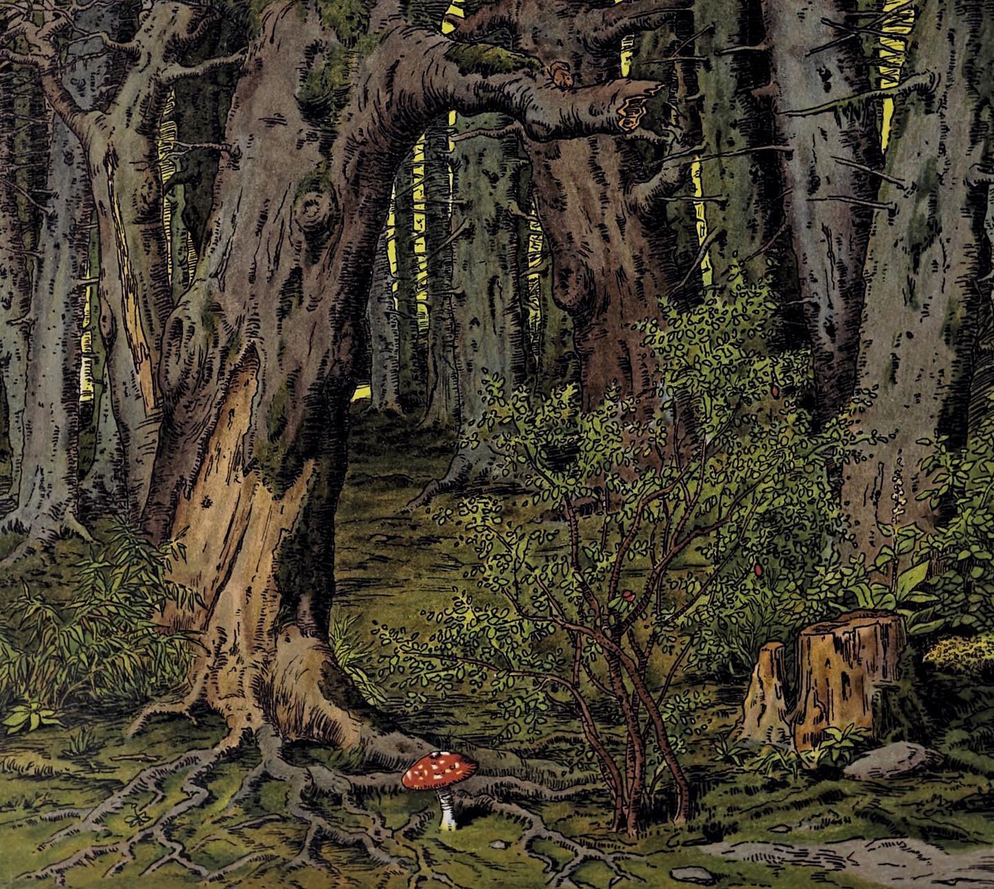 spooky-trees.jpg|1000